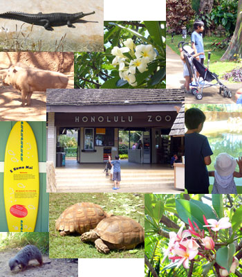 zoo