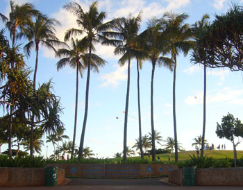 公園