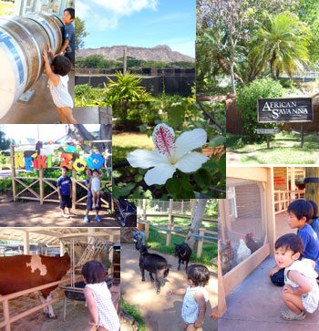 zoo