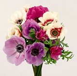 8b6a4678.jpg