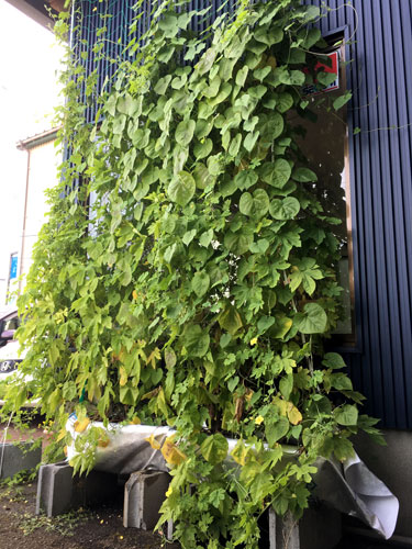 green2018_49