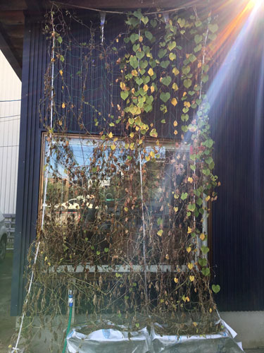 green2018_60