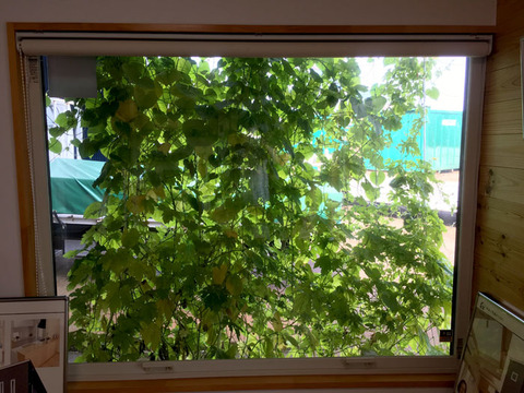 green2018_50