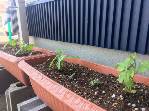 green2018_08
