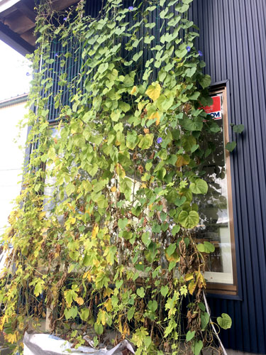 green2018_55