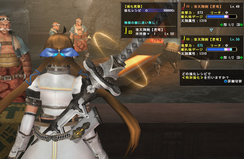290806_改天翔剣レベル50強化