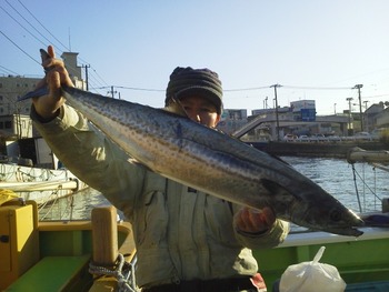 kotatu