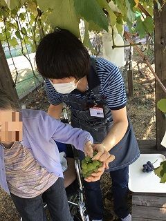 ぶどう4