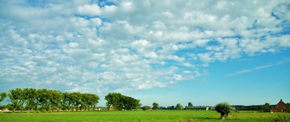 DSC_0169 (2)