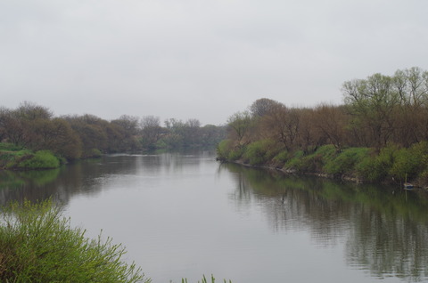 IMGP6156