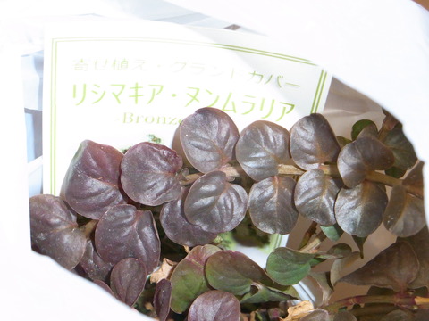 R0017125