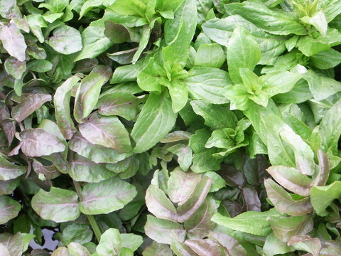 R0017103
