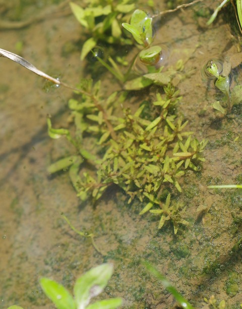 IMGP8279