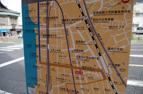 IMGP6516
