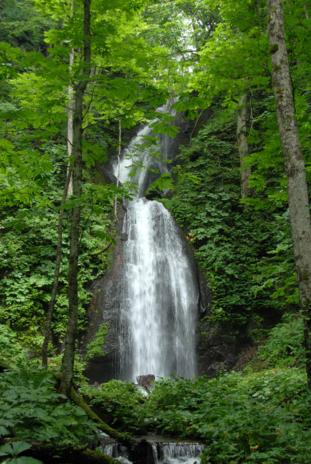 100802 Uozumi 014 B