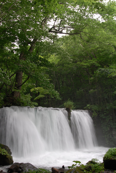 100802 Uozumi 021 B