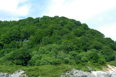 100802 Uozumi 134 B