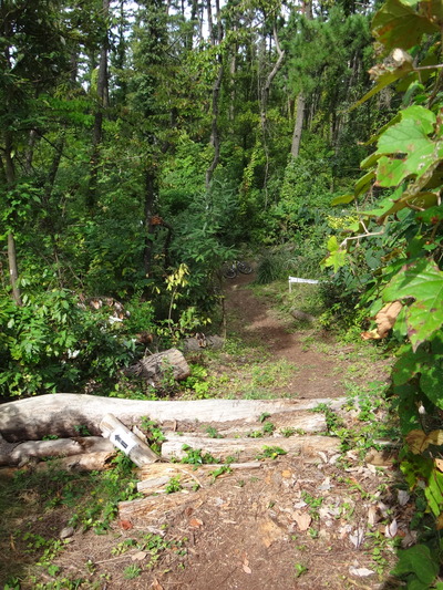 DSC01803