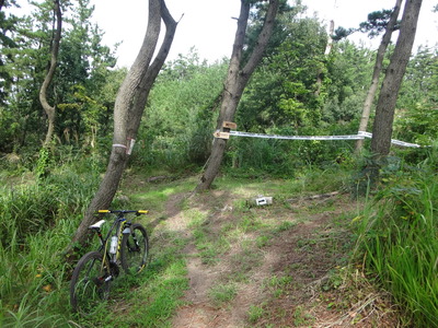 DSC01796