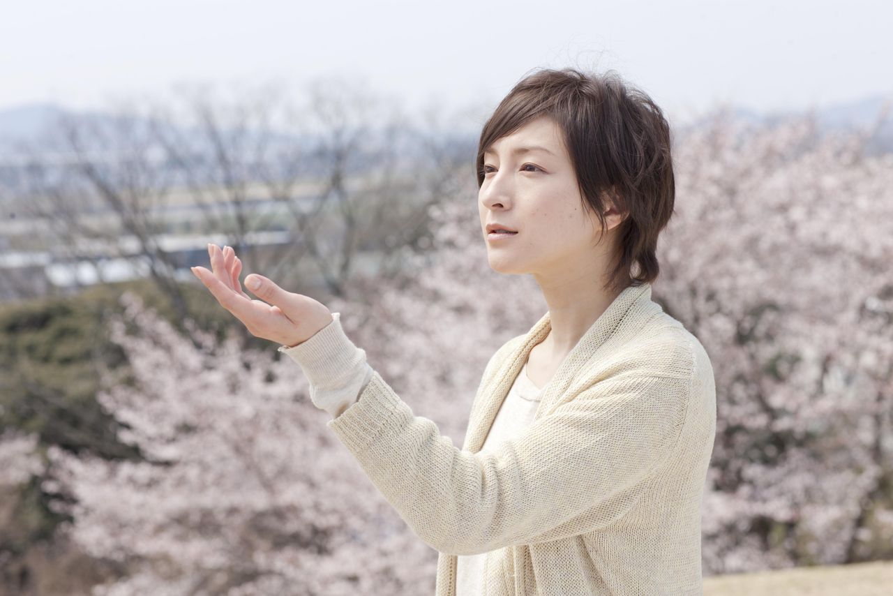 桜、ふたたびの加奈子 栗村実 広末涼子 稲垣吾郎 福田麻由子 高田 翔 ジャニーズJr. ショウゲート