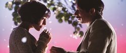 チキンとプラム~あるバイオリン弾き、最後の夢~ 映画