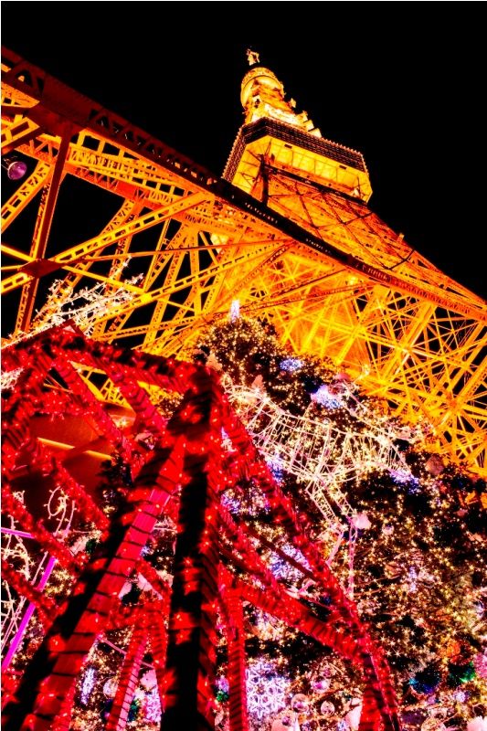 TOKYO TOWER クリスマスイルミネーション2012 TOKYO TOWER クリスマスイルミネーション2012
