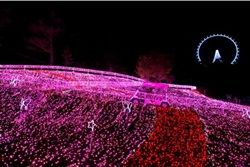 圧巻 イルミネーション 関東最大級 さがみ湖イルミリオン 約400万球のLED
