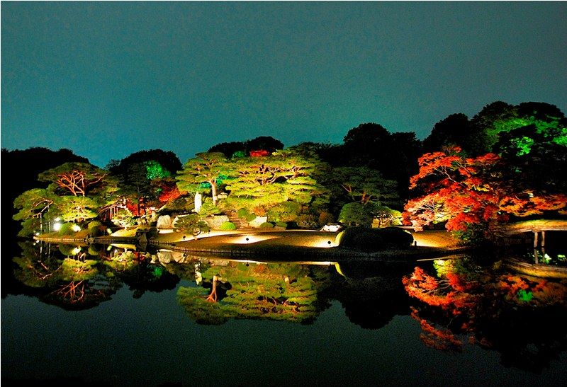 六義園 六義園