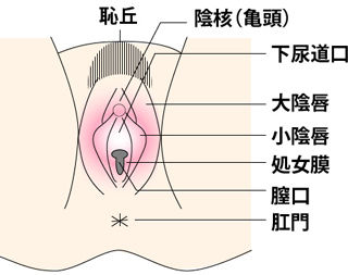 アルテイシア オナニー オカズ オーガズム フェラチオ セックス フェラ