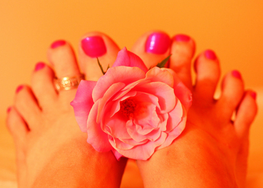 Woman's Feet Holding Pink Rose Fresh Pedicure By Pink Sherbet Photography Woman's Feet Holding Pink Rose Fresh Pedicure By Pink Sherbet Photography