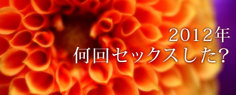 2012年 何回セックスした? 2012年 何回セックスした?