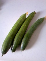 8a509152.jpg