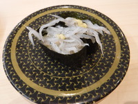 生しらす