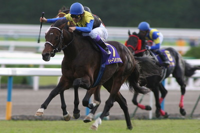 ディープインパクトの菊花賞でのお写真。 : ちょろろっとそれゆけ！あ