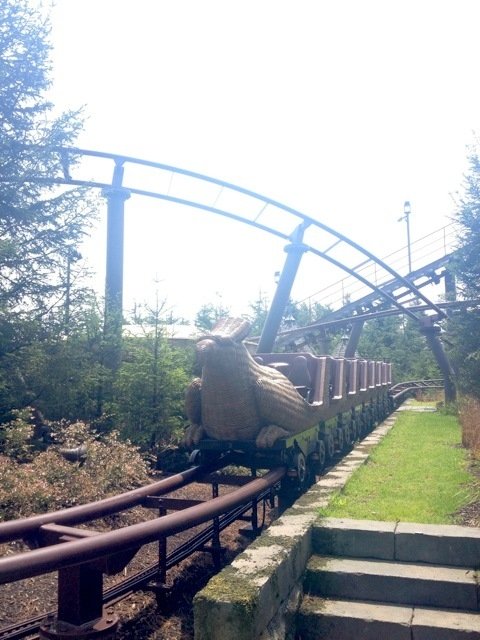 494062