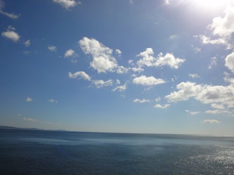 DSC01041