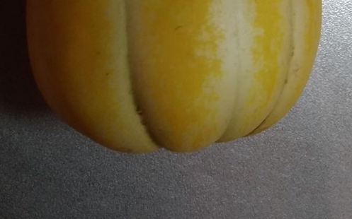 000585
