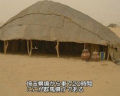 Ph007919_s