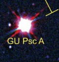 P018554_s
