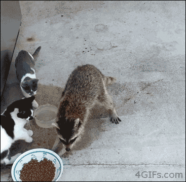 3 (1)