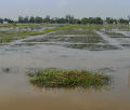 Ph013846_s