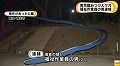 sPH005000