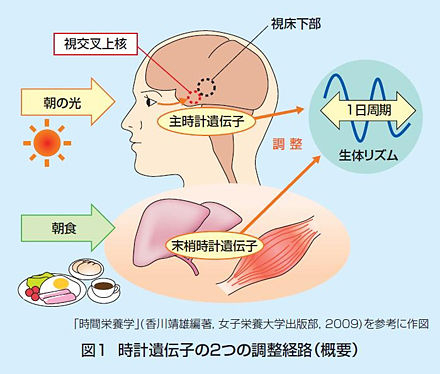 hcr31_02_zu01