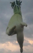 Ph005548_s