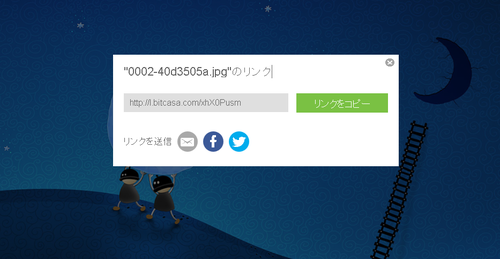 Bitcasa (12)