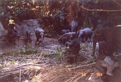 a_behindthescenes_tour_of_disneyland_640_33