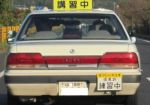 ty (3)
