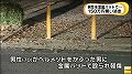 sPH004302