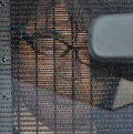 P019551_s