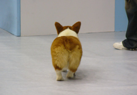 Ph000599